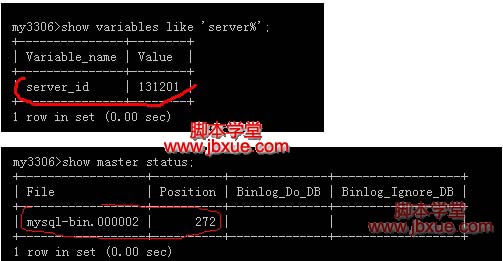 mysql-slave-3